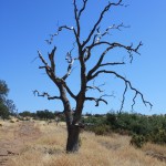IMG_0304 - Kopie