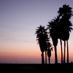 Sonnenuntergang am Venice Beach