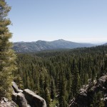 _MG_0532