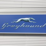 Greyhound-Bus