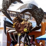 Ein Krebs, auch am Pier 39