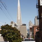 _MG_1442