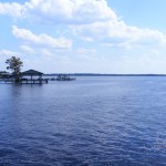 Bay Tree Lake