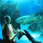 Ich im Georgia Aquarium